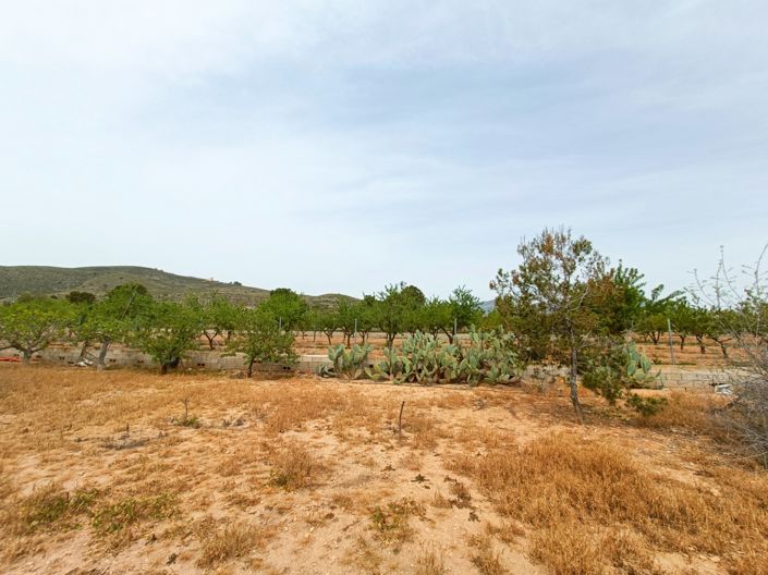 Image No.33-Villa de 4 chambres à vendre à Hondón de los Frailes