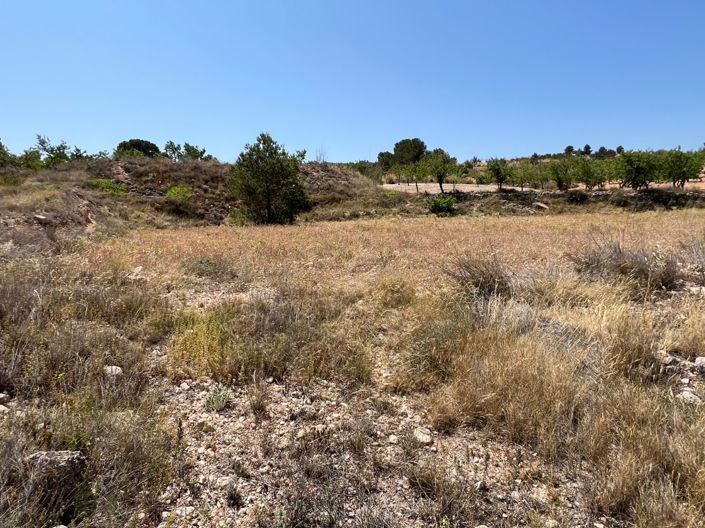 Image No.30-Land for sale