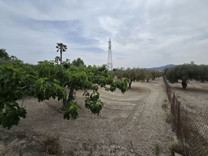 Image No.22-Property for sale