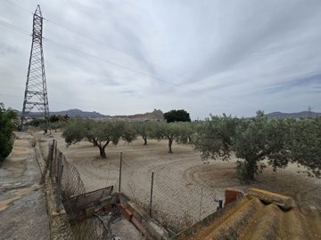 wimg-20250610-wa0035