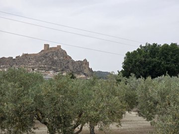 wimg-20250610-wa0032