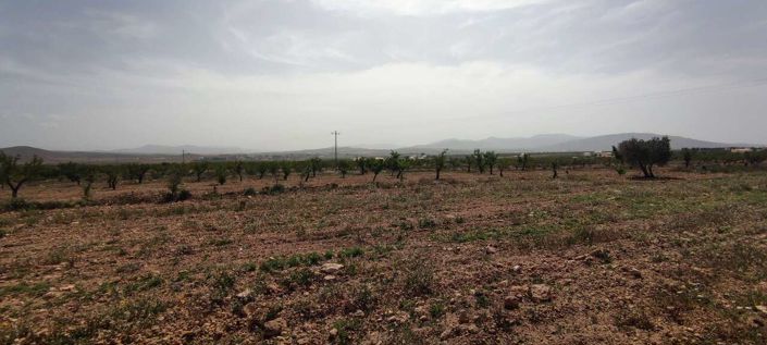 Image No.16-Maison de campagne à vendre à Pinoso