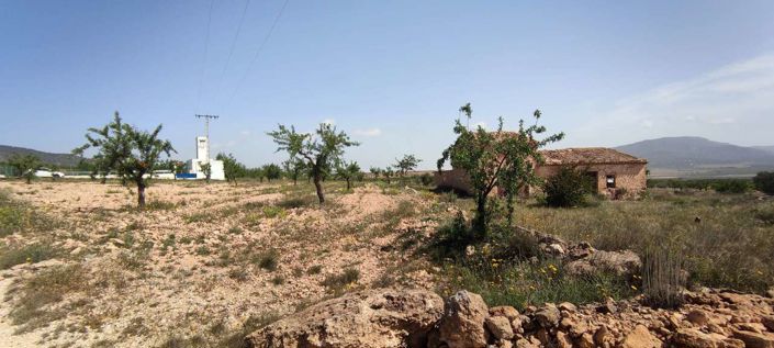 Image No.6-Maison de campagne à vendre à Pinoso