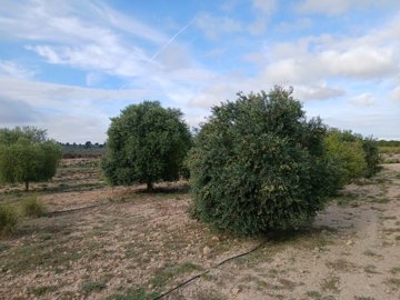 o1iaqbfdaiao71sth135t1f6g109s28