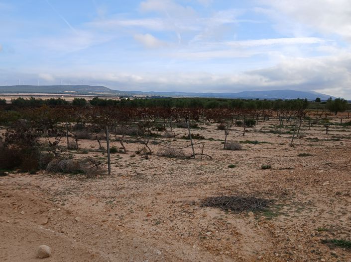 Image No.10-Land for sale