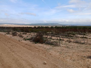 o1iaqbfdai1n88gch15fb1m1brgv20