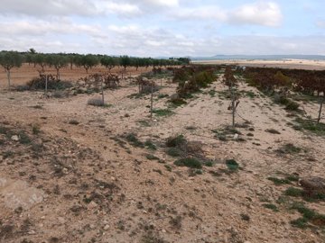 o1iaqbfdai1j0gvqvq331drh1gbs21