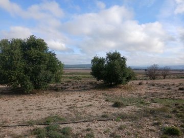 o1iaqbfdai1do01gsg1hhi1tcupni2b