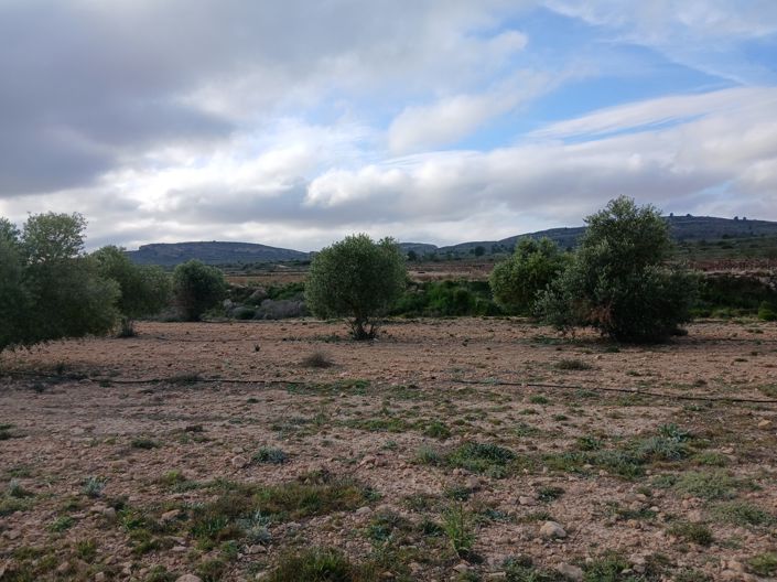 Image No.6-Land for sale