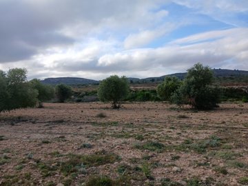 o1iaqbfdaidag3qh3aneh01mmj2a