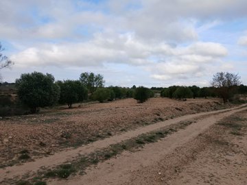 o1iaqbfdai1gbdft516ms1ss5hu225