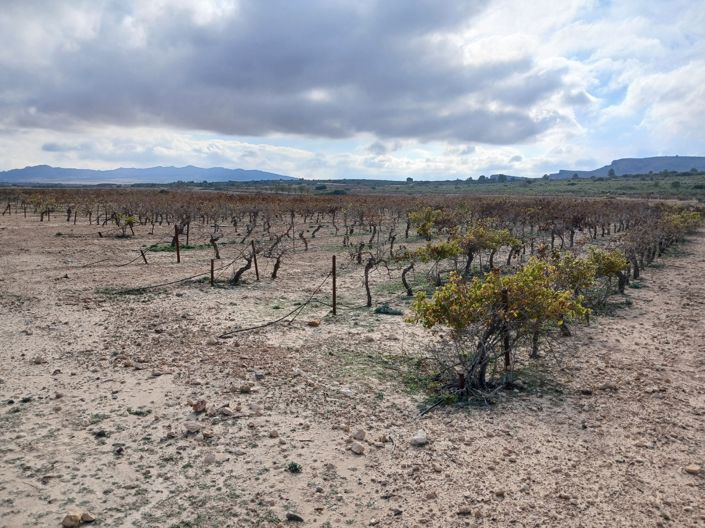 Image No.24-Land for sale