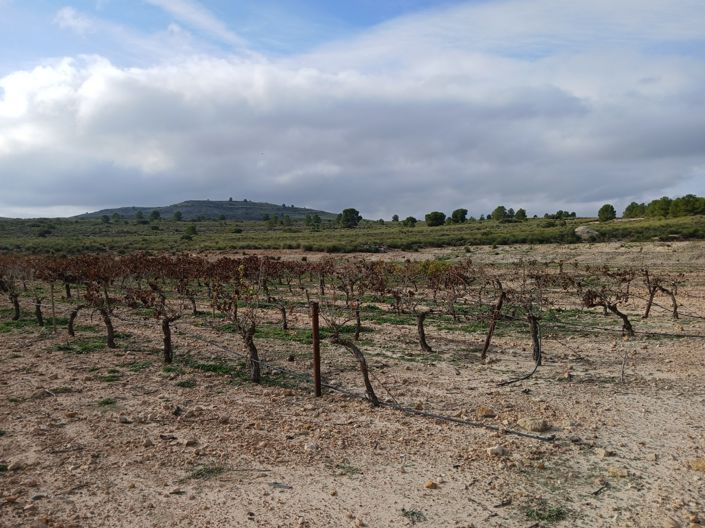 Image No.28-Land for sale