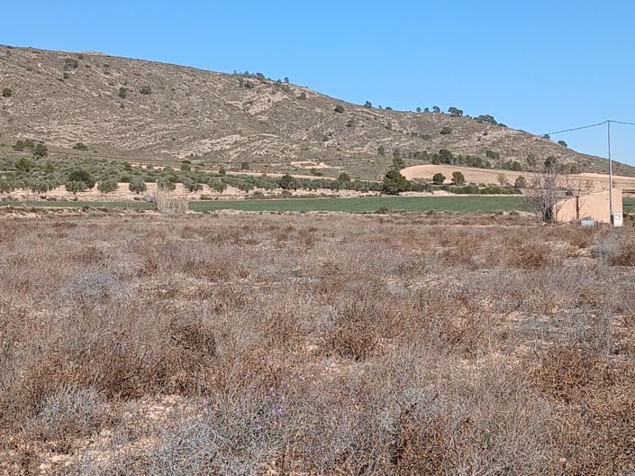 Image No.2-Land for sale