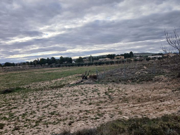 Image No.4-Land for sale