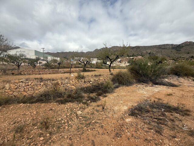 Image No.10-Terre à vendre à La Romana