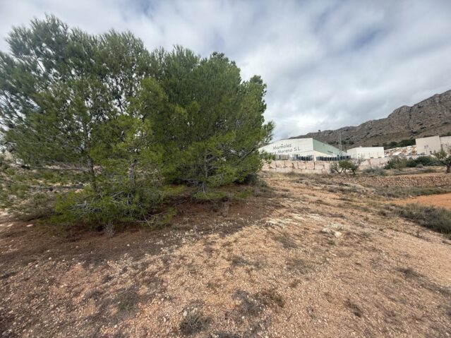 Image No.11-Terre à vendre à La Romana