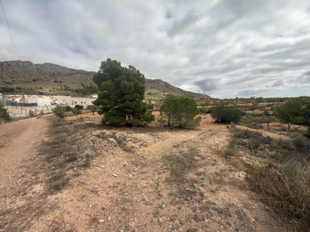 Image No.14-Terre à vendre à La Romana