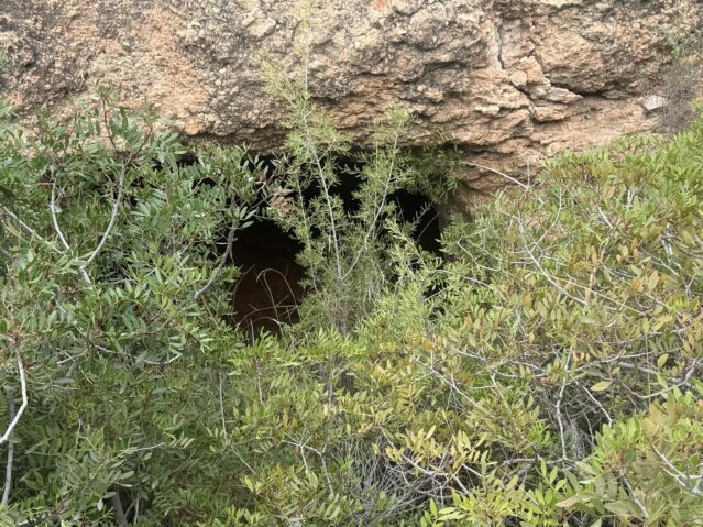 Image No.2-Terre à vendre à La Romana