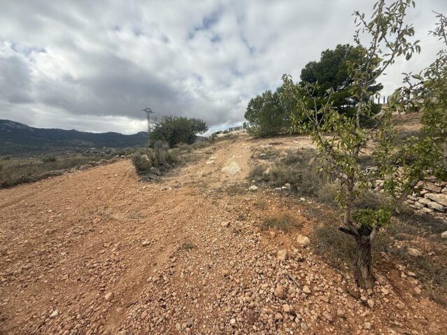 Image No.8-Terre à vendre à La Romana