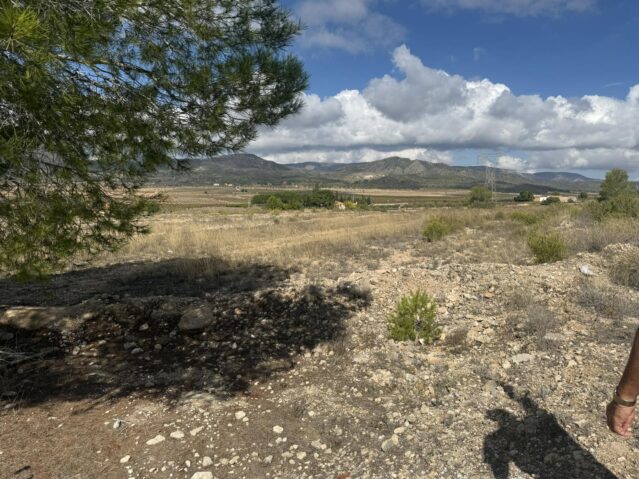 Image No.10-Terre à vendre à Monóvar