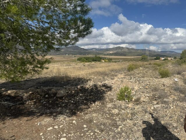 Image No.11-Terre à vendre à Monóvar