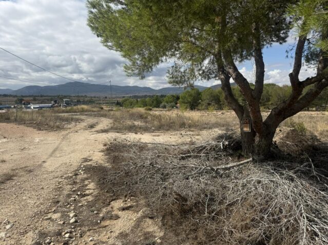 Image No.3-Terre à vendre à Monóvar