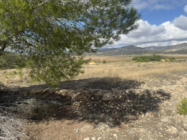 Image No.4-Terre à vendre à Monóvar