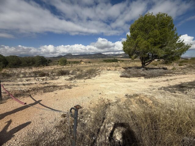 Image No.5-Terre à vendre à Monóvar