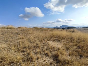 wwhatsapp-image-2025-07-08-at-194527-2-