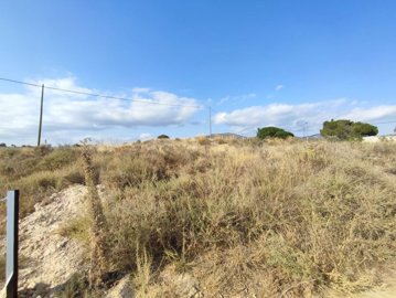 wwhatsapp-image-2025-07-08-at-194520