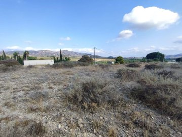 wwhatsapp-image-2025-07-08-at-194527-6-