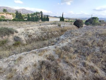 wwhatsapp-image-2025-07-08-at-194527-4-