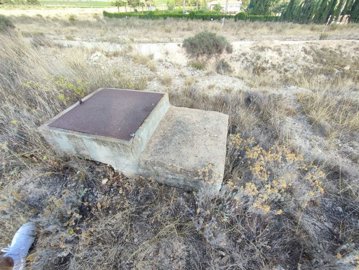 wwhatsapp-image-2025-07-08-at-194527-5-