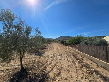 wwhatsapp-image-2025-09-12-at-163146