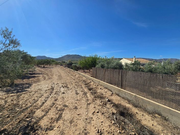 Image No.2-Terre à vendre à Salinas