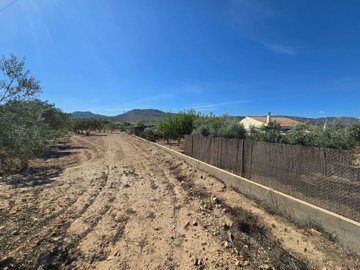 wwhatsapp-image-2025-09-12-at-163147-1-