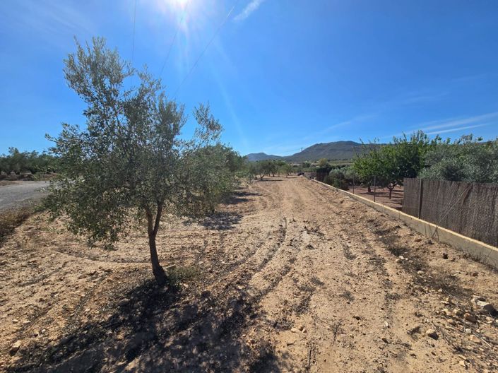 Image No.3-Terre à vendre à Salinas