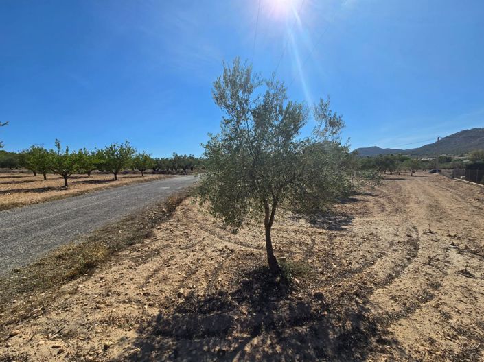 Image No.4-Terre à vendre à Salinas