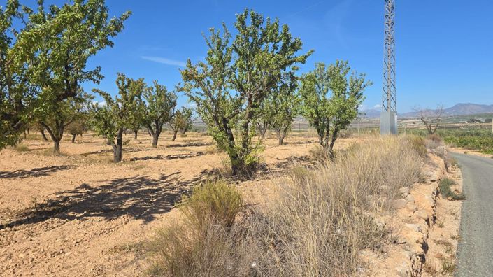 Image No.2-Terre à vendre à Salinas