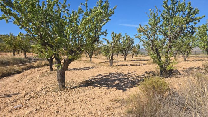 Image No.3-Terre à vendre à Salinas