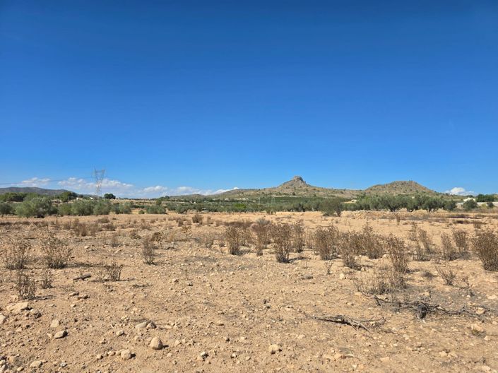 Image No.2-Terre à vendre à Salinas