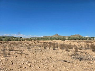 wwhatsapp-image-2025-09-12-at-161725