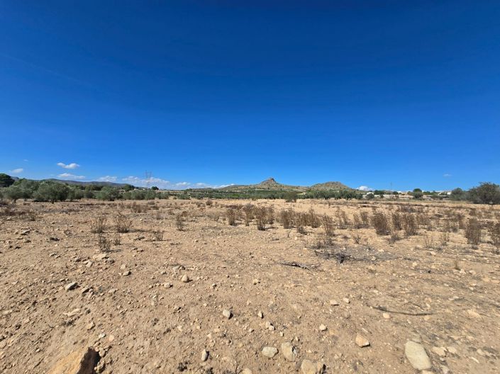 Image No.3-Terre à vendre à Salinas