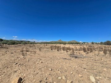 wwhatsapp-image-2025-09-12-at-161726-1-