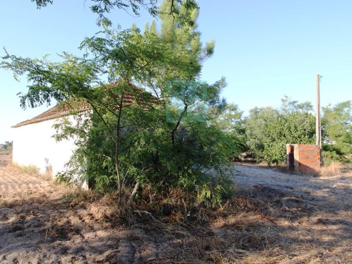 Image No.15-3 Bed Farmhouse for sale