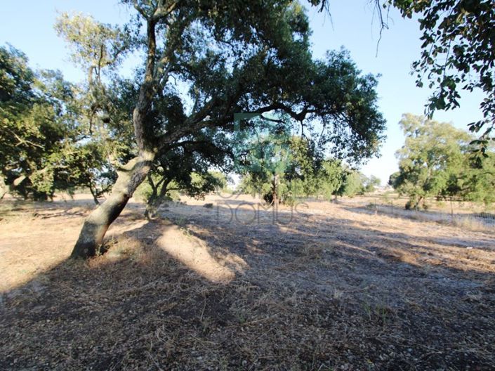 Image No.28-3 Bed Farmhouse for sale