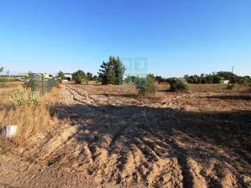 idc89b2c01-0000-0500-0000-00000c910184