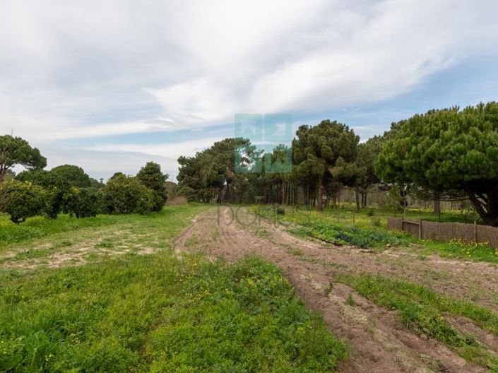 Image No.40-4 Bed House for sale