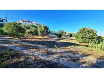 id8ae87d01-0000-0500-0000-0000133bad05